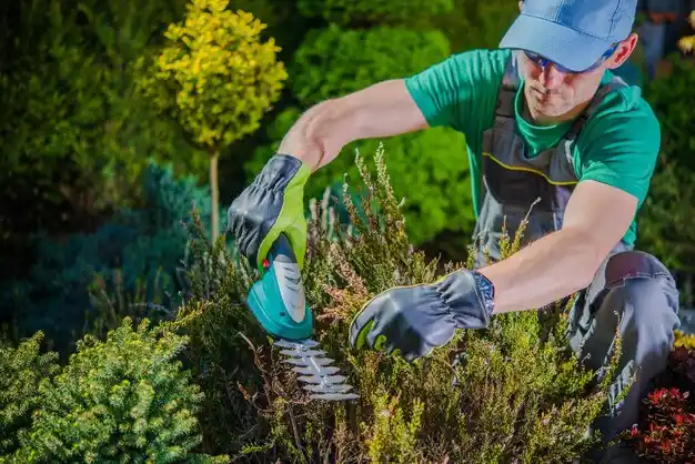 landscaping services Addyston